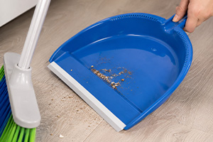 DUSTPANS