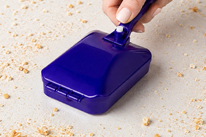 CRUMB SWEEPER