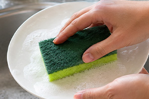 SPONGES