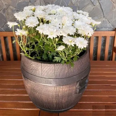 ΓΛΑΣΤΡΑ ΚΑΣΠΩ ΤΥΠΟΥ ΒΑΡΕΛΙ BOLERO LARGE 45x40cm